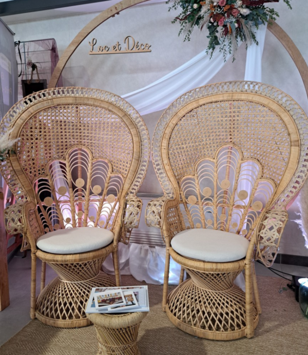 location-fauteuil-Emmanuel-rotin-Flers